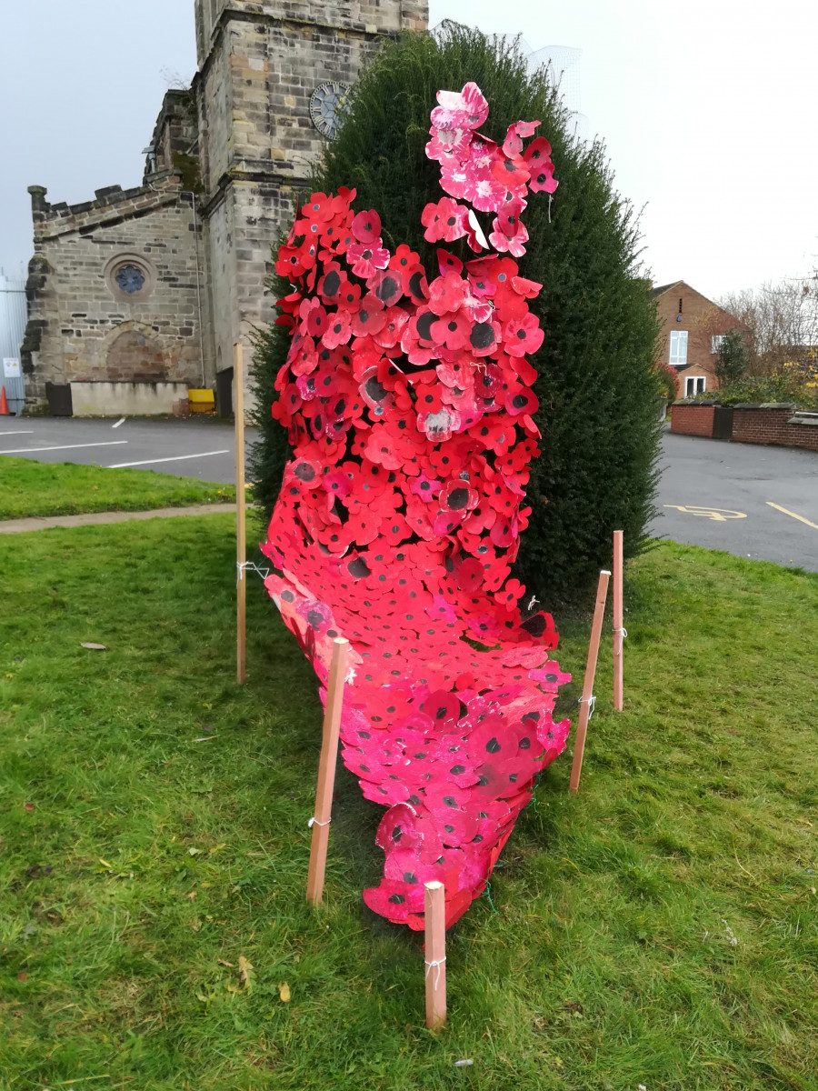 a cascade of poppies